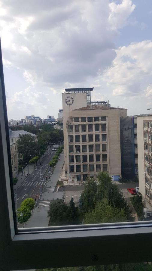 Calea Victoriei Studio Bukareszt Zewnętrze zdjęcie